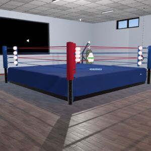 VR Boxing